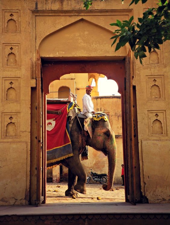 Golden Triangle with Royal Rajasthan